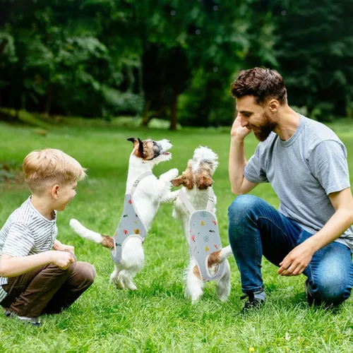 Vista 4 de QBLEEV Pañales para perras para hembra, lavables, sanitarios, con tirantes ajustables, pañales reutilizables para perros machos en celo, lindas