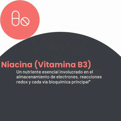 Vista 5 de Niacina Vitamina B3 250 Miligramos 90 Cápsulas Vegetales