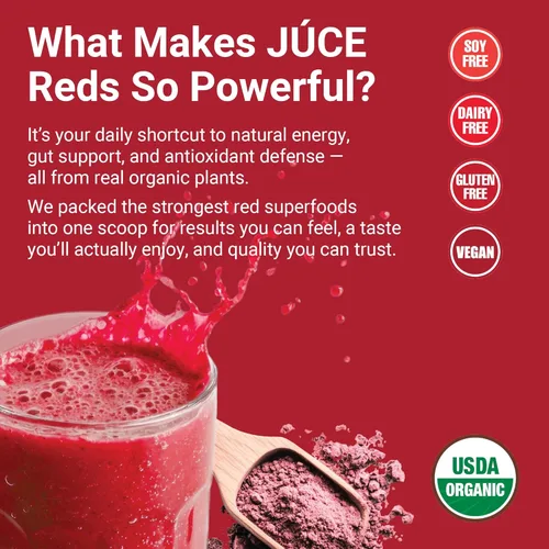 Vista 4 de Terra Kai Organics JUCE Greens – Mezcla para bebida superalimento - Impulsa la inmunidad y la desintoxicación con USDA vegetales verdes orgánicos