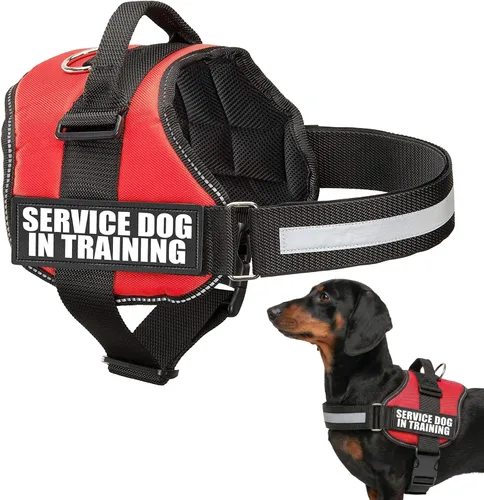 Vista 2 de Arnés de chaleco de entrenamiento para perro de servicio, XXXS 11.5-13 pulgadas, rojo Chaleco duradero y ajustable para perro con correas