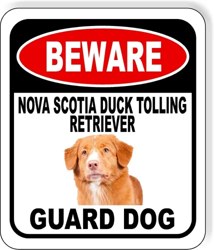 Vista 16 de BEWARE BASSETT HOUND GUARD DOG - Letrero compuesto de aluminio para exteriores, 8.5 x 10 pulgadas CUIDADO BASSETT HOUND GUARD PERRO