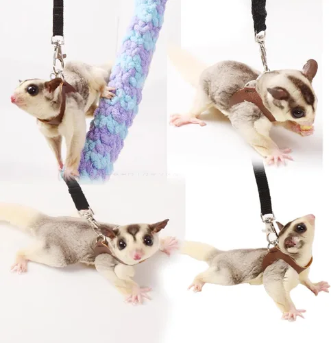 Vista 4 de MANON ROSA Sugar Glider - Juego de arnés y correa, chaleco ajustable de 3 piezas a prueba de escapes para ardillas, ratas, ratones, ratones