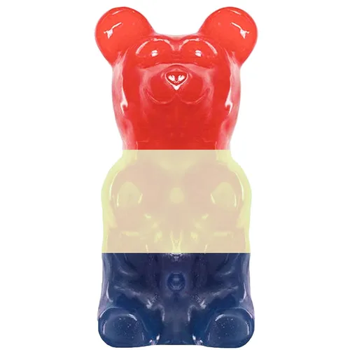 Vista 25 de El Oso de Goma ORIGINAL Más Grande del Mundo® Creado por The Gummy Bear Guy® Aproximadamente 5 libras Banana