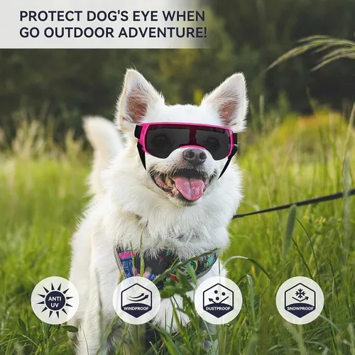 Vista 4 de Gafas de sol para perros de razas pequeñas, protección UV, resistente al viento, antivaho, al aire libre, ciclismo, playa, protección ocular