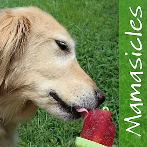 Vista 8 de Moldes Popsicle, molde creador Ice Pop Tupperware de calidad 6 piezas sin BPA por Mamasicles