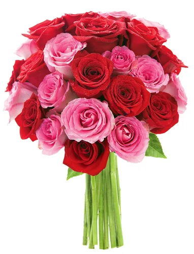 Vista 50 de KaBloom - Rosas arcoíris (media docena)- Flores frescas para cumpleaños, San Valentín y Día de la Madre