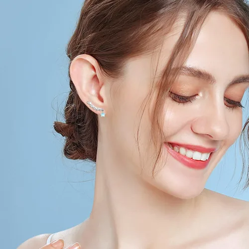 Vista 3 de Regalo para el día de San Valentín para mujeres, aretes de plata de ley 925 con animales Colibrí, pájaro, búho, herradura, fénix, ratón, abeja