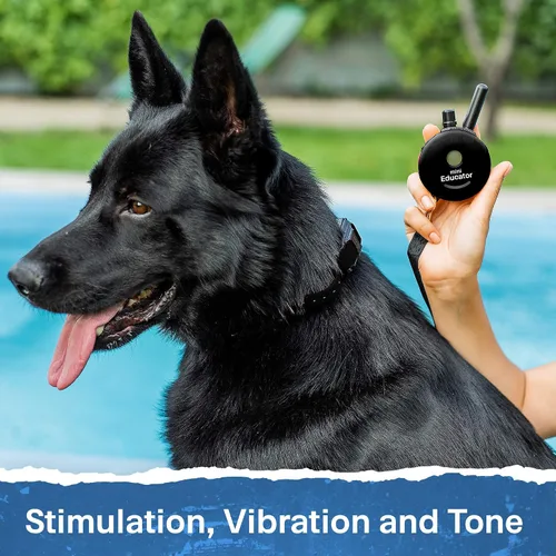 Vista 7 de Educator ET-302 Collar Mini Negro E para Adiestramiento de Perros con Control Remoto - Alcance de 1/2 Milla, Resistente al Agua, 100 Niveles