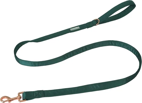 Vista 20 de Lionet Paws Lindo soporte para bolsas de excrementos de perro con bolsa para correa, dispensador de seda para perros, collar a juego Azul