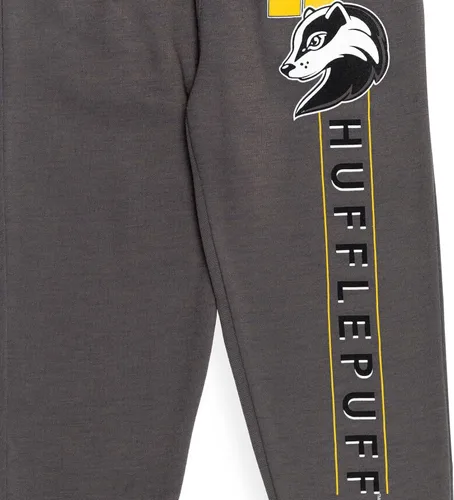 Vista 7 de Harry Potter Gryffindor Slytherin Hufflepuff Ravenclaw - Paquete de 2 pantalones deportivos de forro polar para niños pequeños a grandes