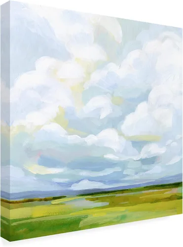 Vista 2 de Trademark Fine Art Lienzo de Cielos Lucidos IV por Victoria Borges