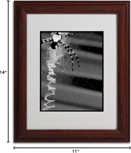 Vista 6 de Trademark Fine Art Patty Tuggle - Arte enmarcado con diseño de araña y tela en blanco y negro con marco de madera, 11 x 14 pulgadas
