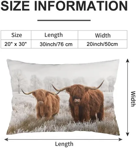 Vista 4 de Funda de Almohada Highland Cow Tamaño Queen Juego de 2 Vaca Occidental Animal Vida Silvestre Casa de Granja Pastizales Funda de Almohada Lumbar