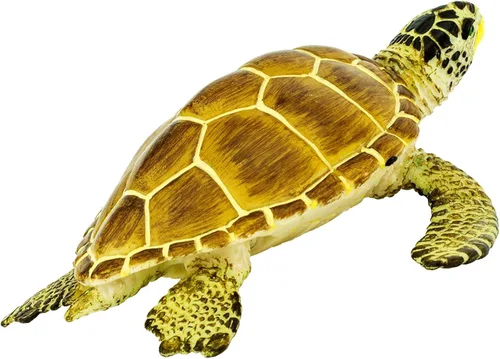 Vista 5 de Safari Ltd. Loggerhead - Figura de tortuga pintada a mano, realista de 3.75 pulgadas, juguete educativo para niños, niñas y niños a partir de 3 años