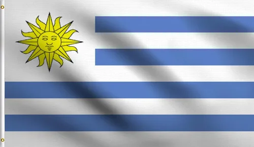 Vista 148 de DMSE - Bandera nacional beninesa beninesa de la República de África Occidental, 2 x 3 pies, 100 % poliéster, 100 % poliéster, resistente a los rayos