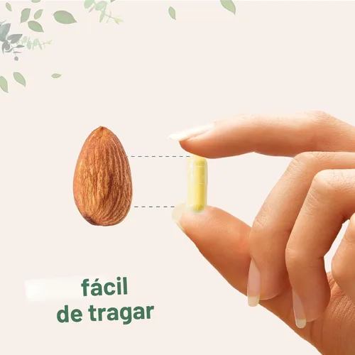 Vista 5 de Micro Ingredients Saffron+ Advanced Supplements, 60 cápsulas vegetarianas – 10 en 1 con extracto de azafrán, vitamina C soluble en grasa de alta