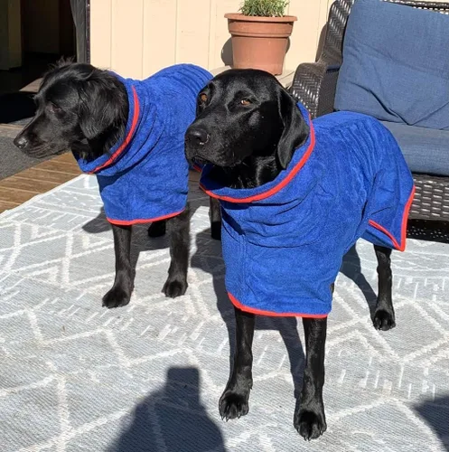 Vista 7 de Abrigo de Secado para Perros - Bata Toalla de Secado Rápido para Perros - Albornoz de Microfibra Súper Absorbente para Mascotas, Cuello Ajustable