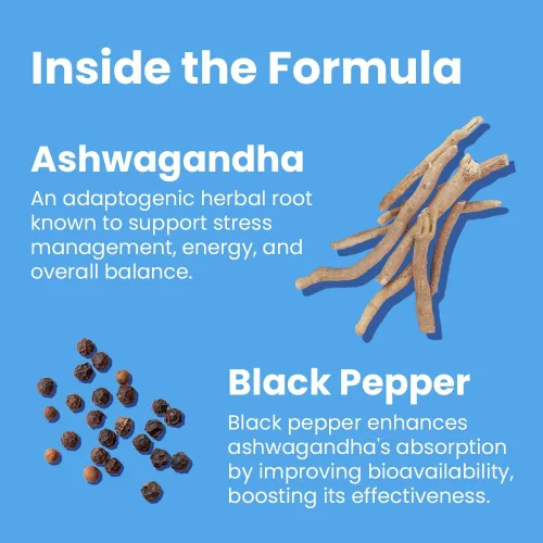 Vista 4 de Sanar Naturals Ashwagandha 2100 mg - Suplemento para el estrés y el estado de ánimo - Promueve la calma, la concentración y la energía sostenida