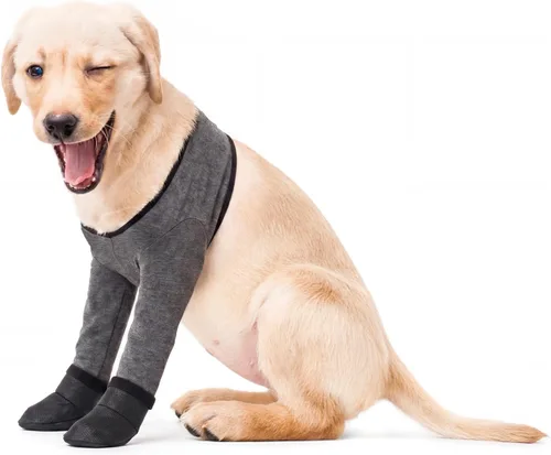 Vista 9 de Funda para patas de perro y protectores de patas, botas