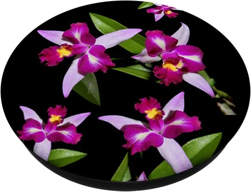 Vista 3 de Orquídea - Soporte para teléfonos y tabletas, Negro