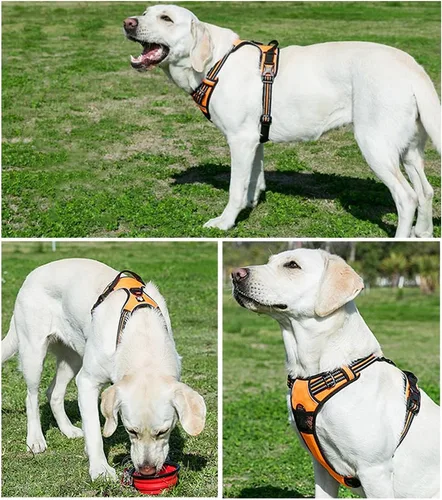 Vista 5 de OLizee® Arnés sin tirones para perro, aventura al aire libre, marcas reflectantes, chaleco para mascotas con asa, arnés protector ajustable
