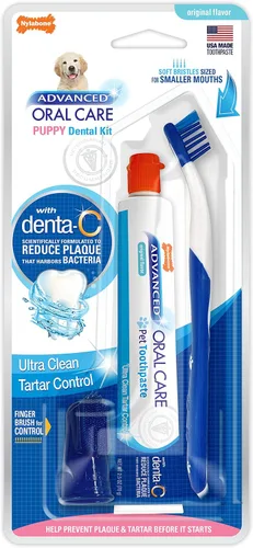 Vista 11 de Nylabone Advanced Oral Care - Kit dental para perros mayores con cepillo de dientes de cerdas suaves y acolchadas, 3