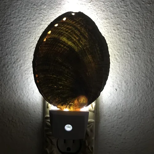 Vista 2 de PEPPERLONELY Conchas de mar de abulón verde natural, luz nocturna náutica natural conchas de mar decoración del hogar, sensor automático LED luz