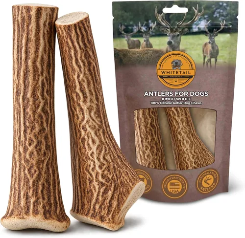 Vista 9 de WhiteTail Naturals Paquete de 2 cuernos de eje XL para perros XL-7-8