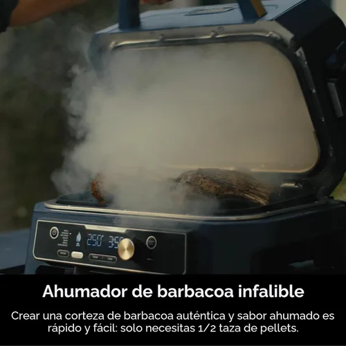 Vista 5 de Ninja Woodfire Pro Connect XL - Parrilla y ahumador para exteriores Bluetooth, aplicación habilitada Parrilla 7 en 1, ahumador de barbacoa