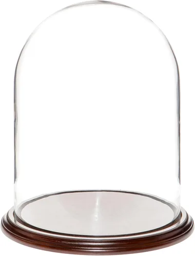 Vista 4 de Plymor 11.75" x 15" Pantalla de cristal Cúpula Cloche (base de chapa de madera negra)