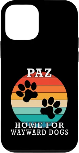 Vista 16 de Paz Home for Wayward Dogs Family Name Case for iPhone 16