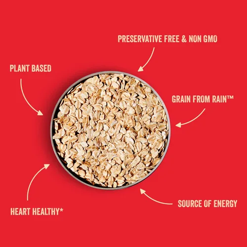 Vista 4 de Stoked Oats - Stone Age - Desayuno alto en proteínas, bajo en azúcar - Sin gluten, alta fibra, avena sin OMG - Perfecto para avena durante la noche