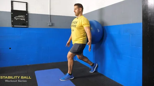 Vista 5 de CRITICAL BENCH.COM El DVD de la serie de entrenamiento de pelota de estabilidad sin tensión en la espalda mejora la postura, la fuerza
