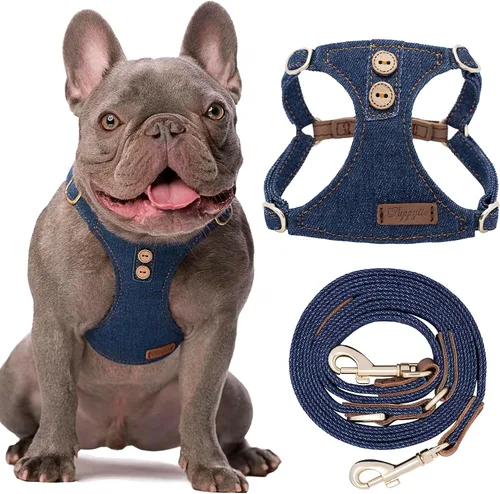 Vista 16 de Arnés sin tirones para perro, con correa multifunción, pechera suave y ajustable para mascota, no ahorca, chaleco a prueba de escape, azul vaquero