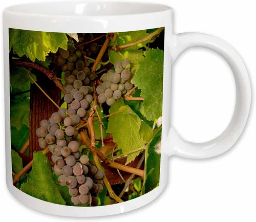 Vista 11 de 3dRose Danita Delimont – Vineyards – Estados Unidos, Oregón, Keizer, Pinot Gris Vineyard – US38 RBR0729 – Rick A Brown – Tazas, Negro/Blanco