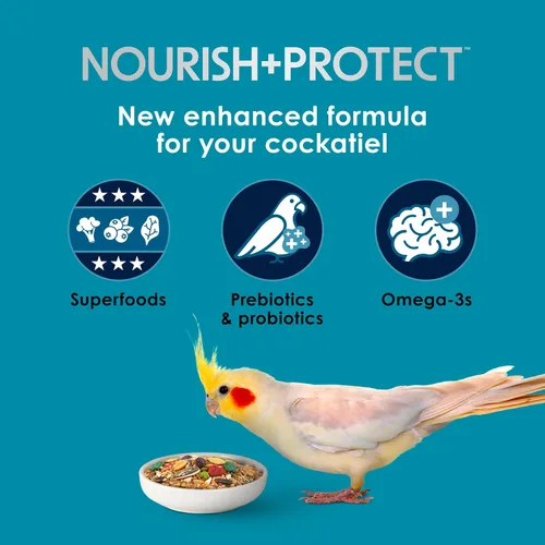 Vista 3 de Comida saludable para pájaros Kaytee Forti Diet Pro, para periquitos, Pastel de cumpleaños