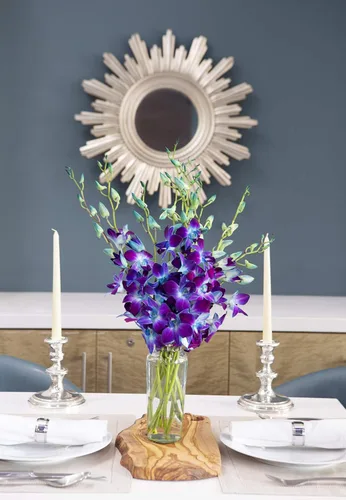 Vista 4 de Kabloom 10 Tallos Blue Valentine Dendrobium orquídeas, 2.5 libras