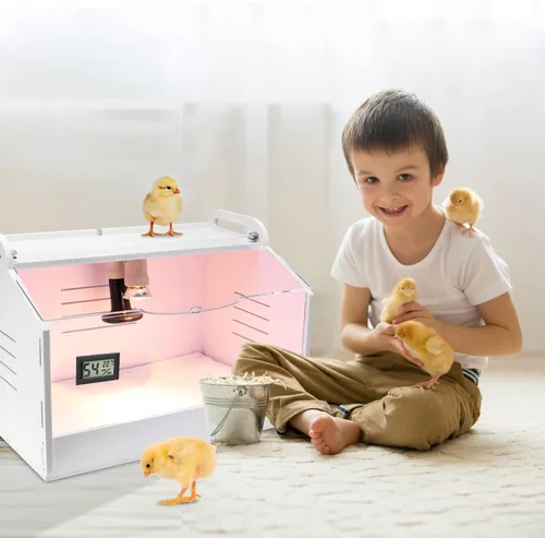 Vista 3 de Caja inteligente para cría 10-15 recién nacidos, pollitos, codorniz, pájaros, animales pequeños, incubadoras manuales, calentador de aves de corral
