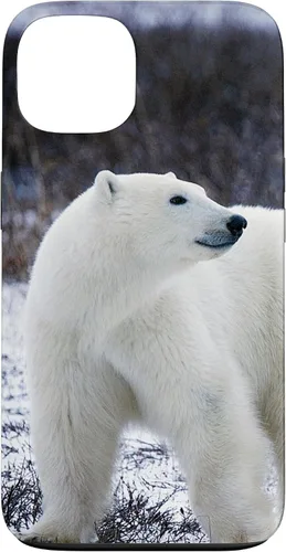 Vista 7 de Polar Bears Animal Nature Case for iPhone 17