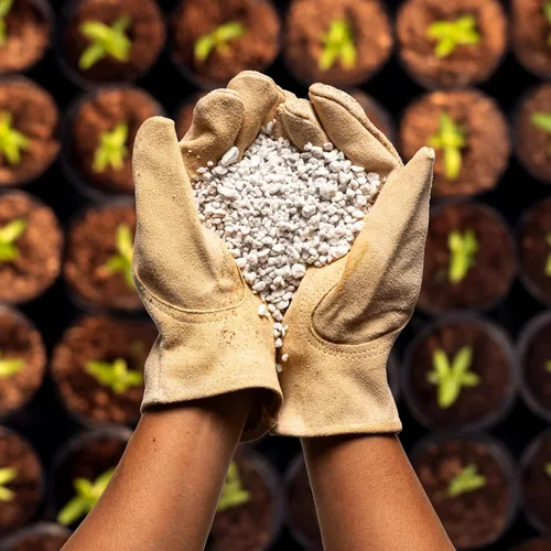 Vista 8 de Perlite Bliss (8 cuartos de galón) + chips de coco para plantas (10 libras) – Chips de coco y perlita orgánica para plantas y jardinería – Chips