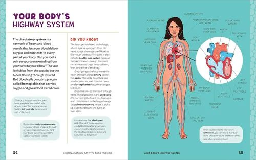 Vista 7 de Human Anatomy Activity Book for Kids Hands-on Learning for Grades 4-6