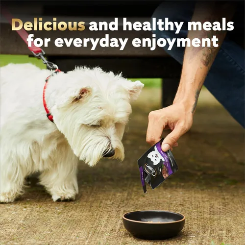 Vista 9 de Cesar Mini-Pouch - Alimento húmedo para perros, sabor a carne Angus, 1.76 onzas, 20 unidades Real beef, protein-packed, no fillers or artificial