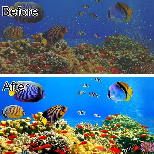 Vista 6 de Paquete de 6 cartuchos de filtro de acuario para filtros Whisper Bio-Bag, cartuchos de filtro de repuesto grandes para filtros Whisper 20i