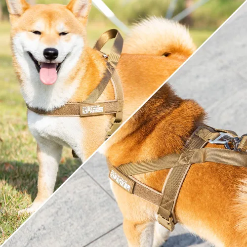 Vista 6 de EXCELLENT ELITE SPANKER Arnés sin tirones, arnés de nailon para perro, arnés ajustable para perros pequeños, arnés acolchado, entrenamiento para BLK