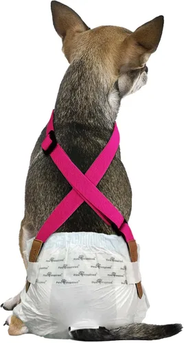 Vista 7 de Paw Inspired Tirantes de pañales para perros con cierres de velcro Tirantes elásticos ajustables para pañales desechables y lavables para mujeres