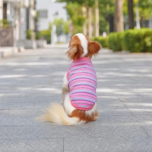 Vista 6 de LOPHIPETS Camiseta Chaleco 100% Algodón Acanalado para Perros Pequeños Teacup Chihuahua Yorkie Ropa de Cachorro Camiseta sin Mangas-Rosa/XS