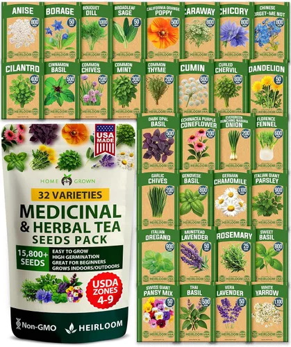 Vista 49 de HOME GROWN Bachelor Button Tall Mix 700+ Semillas de flores Centaurea