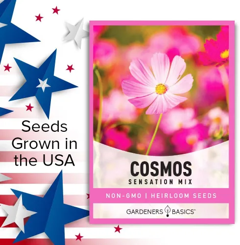 Vista 6 de Cosmos Seeds para plantar flores (mezcla de sensación) - Semillas de flores cosmo rosadas, polinizadas abiertas, sin OMG, ideales para jardines