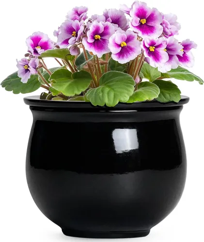 Vista 14 de Macetas de riego automático de 6 pulgadas para plantas de interior, macetas de cerámica violeta africana con maceta interior absorbente, maceta