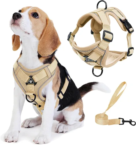 Vista 9 de Arnés para perro Jolifield sin tirones con juego de correa para perros pequeños, arnés de chaleco para gatos con clip frontal ajustable reflectante